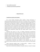 Automobiliniai akumuliatoriai 11 puslapis