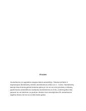 Automobiliniai akumuliatoriai 13 puslapis