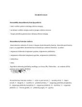 Automobiliniai akumuliatoriai 3 puslapis