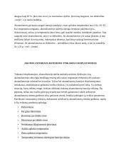 Automobiliniai akumuliatoriai 10 puslapis