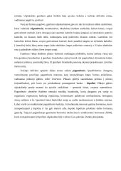 Centrinė nervų sistema (su aprašymais) 17 puslapis