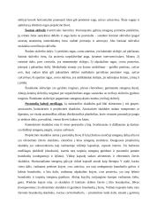 Centrinė nervų sistema (su aprašymais) 20 puslapis