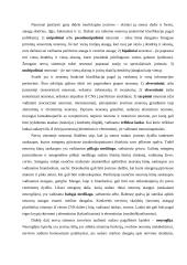 Centrinė nervų sistema (su aprašymais) 3 puslapis