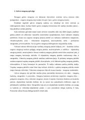 Centrinė nervų sistema (su aprašymais) 8 puslapis