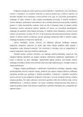 Centrinė nervų sistema (su aprašymais) 10 puslapis