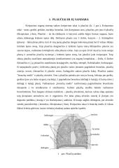 Kvėpavimo fizika 5 puslapis