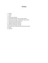 Konstituciniai principai 2 puslapis