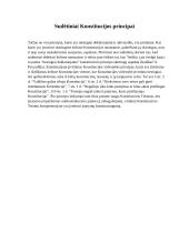 Konstituciniai principai 11 puslapis