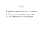 Konstituciniai principai 15 puslapis