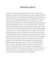 Konstituciniai principai 4 puslapis