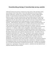 Konstituciniai principai 7 puslapis