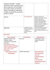 Pasaulio Muzika  2 puslapis