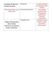 Pasaulio Muzika  3 puslapis