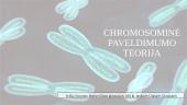 Chromosominė paveldimumo teorija