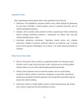 AB ,,ANYKSČIŲ VYNAS”  Verslo rizika ir jos mažinimo galimybės 15 puslapis