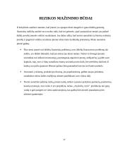 AB ,,ANYKSČIŲ VYNAS”  Verslo rizika ir jos mažinimo galimybės 17 puslapis