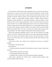 AB ,,ANYKSČIŲ VYNAS”  Verslo rizika ir jos mažinimo galimybės 3 puslapis