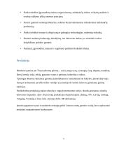 AB ,,ANYKSČIŲ VYNAS”  Verslo rizika ir jos mažinimo galimybės 5 puslapis