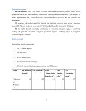 AB ,,ANYKSČIŲ VYNAS”  Verslo rizika ir jos mažinimo galimybės 6 puslapis