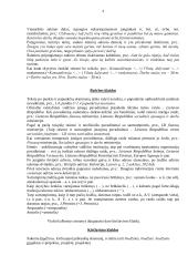 Kalbekime ir rasykime taisyklingai 3 puslapis