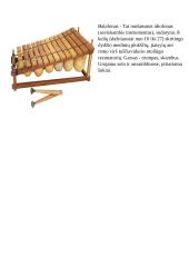 Afrikos muzika ir jos bruožai 3 puslapis