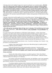 Dvasingumo pagrindų kontrolinio medžiaga 4 puslapis