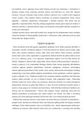 Geros mokyklos koncepcija 4 puslapis