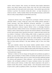 Geros mokyklos koncepcija 5 puslapis