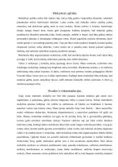 Geros mokyklos koncepcija 7 puslapis