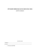 Ištvermė mišriuose kovos menuose/MMA