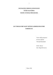 LR vyriausybė kaip viešojo administravimo subjektas