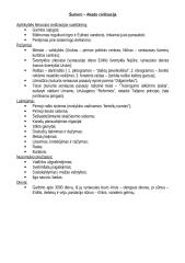 Istorijos temų konspektas 2 puslapis