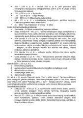 Istorijos temų konspektas 11 puslapis