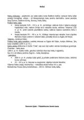 Istorijos temų konspektas 13 puslapis