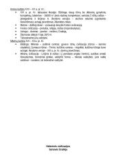 Istorijos temų konspektas 17 puslapis