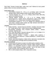 Istorijos temų konspektas 3 puslapis