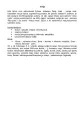 Istorijos temų konspektas 4 puslapis