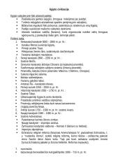 Istorijos temų konspektas 5 puslapis