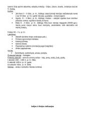 Istorijos temų konspektas 8 puslapis