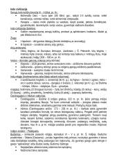 Istorijos temų konspektas 9 puslapis