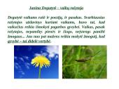Janinos Degutytės kūryba 11 puslapis
