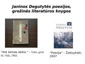 Janinos Degutytės kūryba 15 puslapis