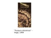 Janinos Degutytės kūryba 16 puslapis