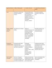 Šuns egzekucija literatūroje. Lyginimas.