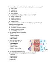 Plazminė membrana. TESTAS 3 puslapis
