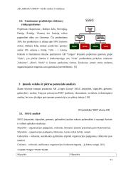 Grigeo analizė ir valdymas 10 puslapis