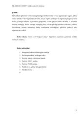 Grigeo analizė ir valdymas 2 puslapis