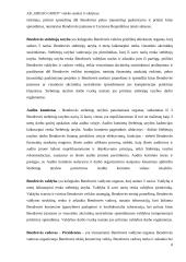 Grigeo analizė ir valdymas 5 puslapis