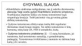 Klainfelterio sindromas. 11 puslapis
