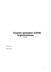 Taupios gamybos (LEAN) organizavimas